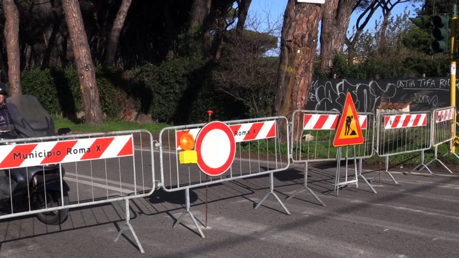 In via di Castel Fusano si passa a turno: senso unico alternato e sosta vietata per i lavori sul verde