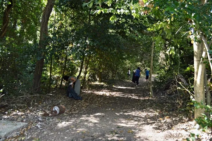 Bosco di Valcanneto, l’Assessore all’Ambiente Gnazi: “Lo stiamo curando per salvarlo, non per distruggerlo”