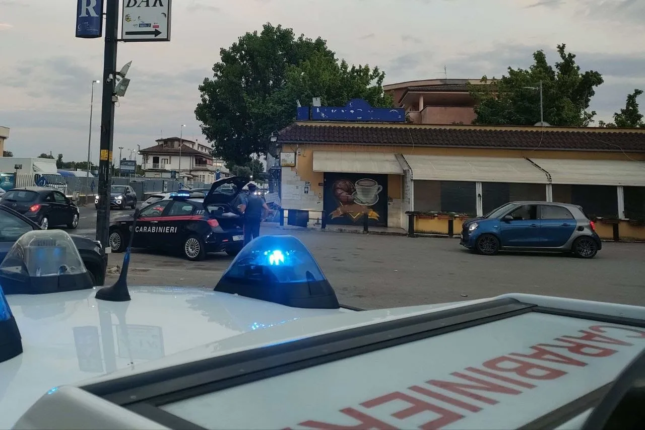 Controlli ad Ardea e sul litorale sud: 10 denunce, un negozio chiuso e armi sequestrate
