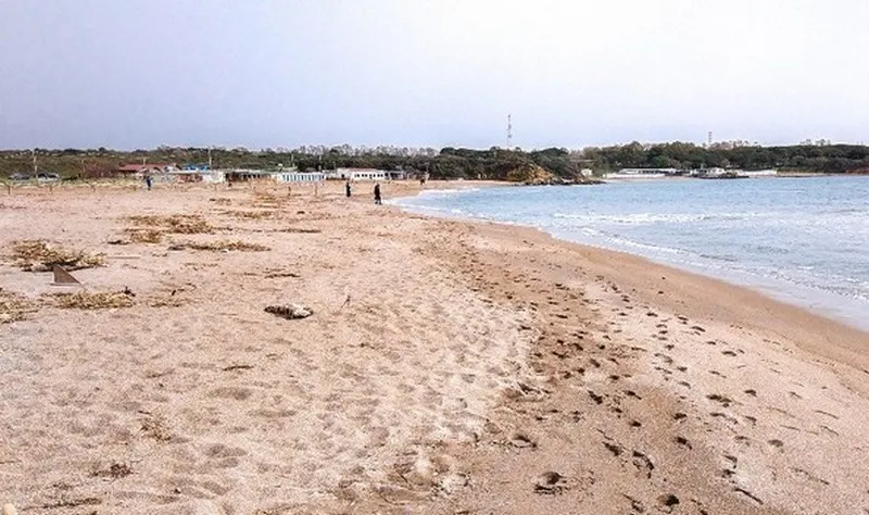 Sant’Agostino, Grossi (FI): “Necessario ripristinare il servizio di salvamento sulle spiagge”