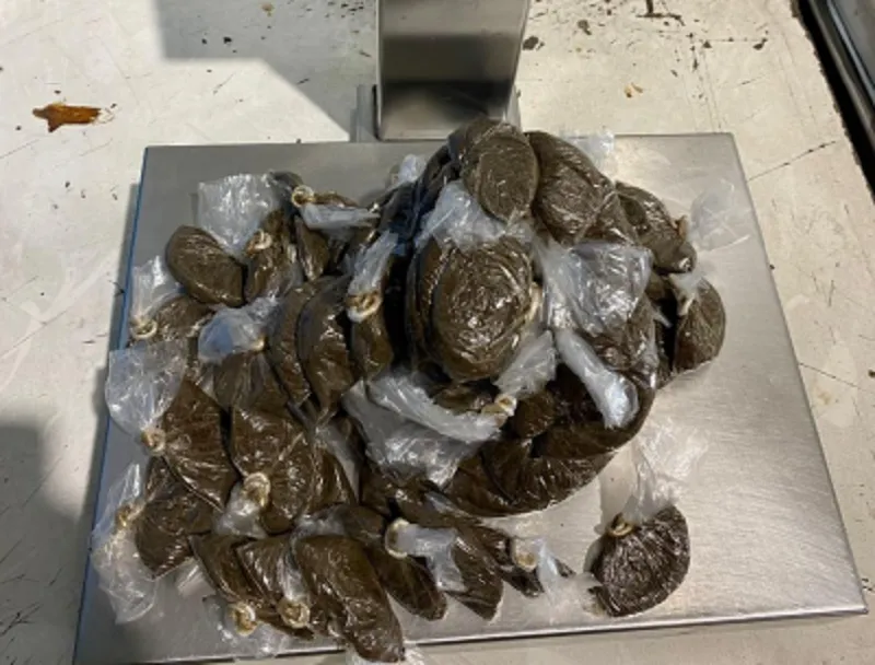 Contrabbando dalla Tunisia: la Gdf sequestra 4 kg di prodotti da fumo - TRC Giornale