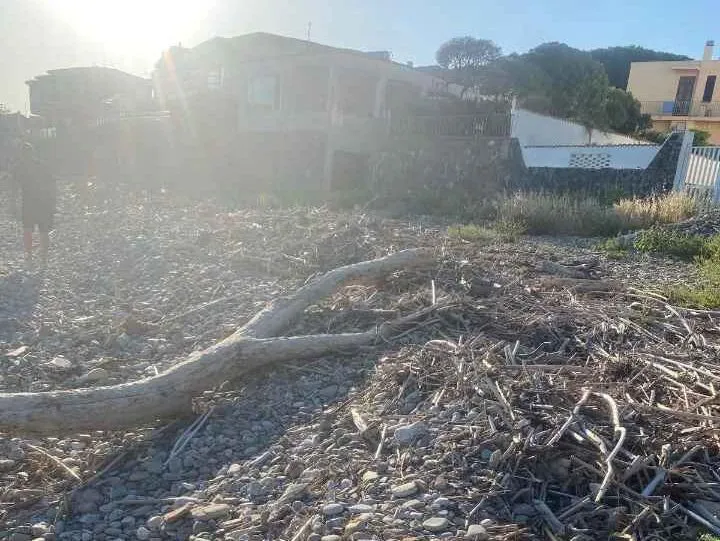 Santa Marinella, spiaggia libera invasa da rifiuti: l’appello di IoAmoSantaMarinella