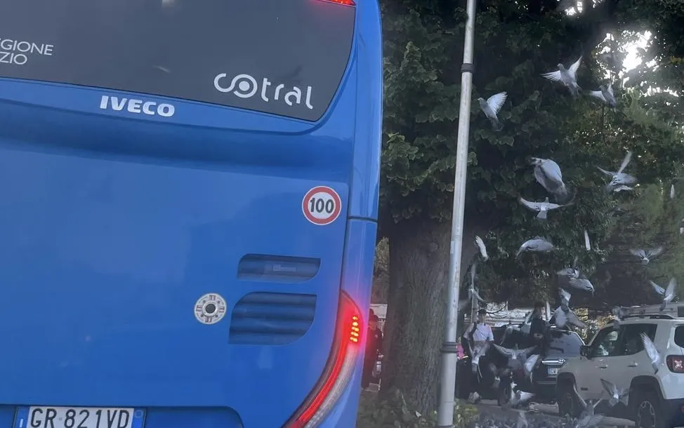 Aggressione su un bus Cotral a Tivoli: autista colpito al volto per un semplice no