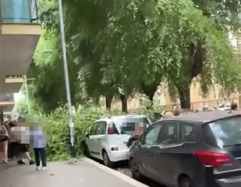Tragedia sfiorata a Villa Gordiani: albero crolla davanti ai negozi affollati e distrugge due auto