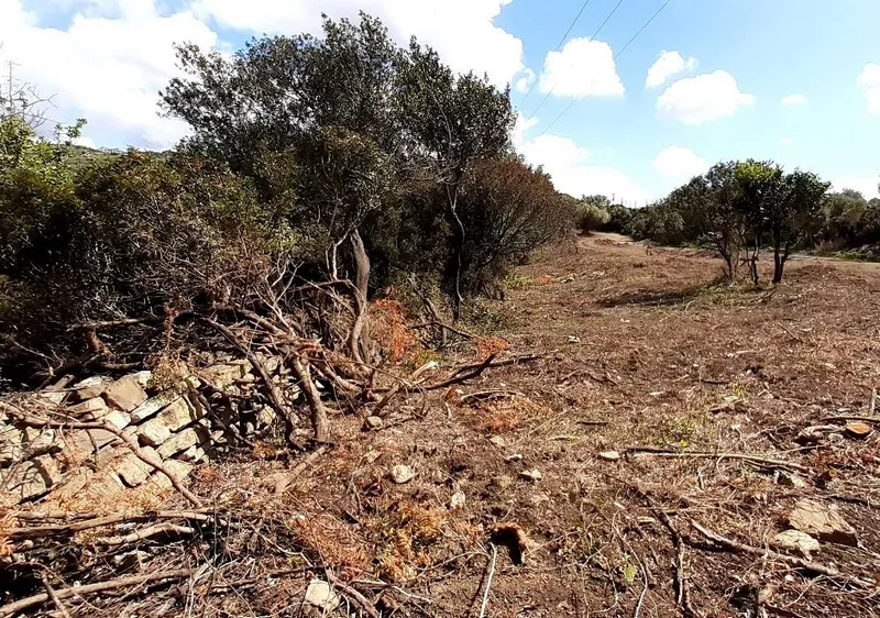 Rischio idrico, ordinanza del Comune di Civitavecchia - TRC Giornale