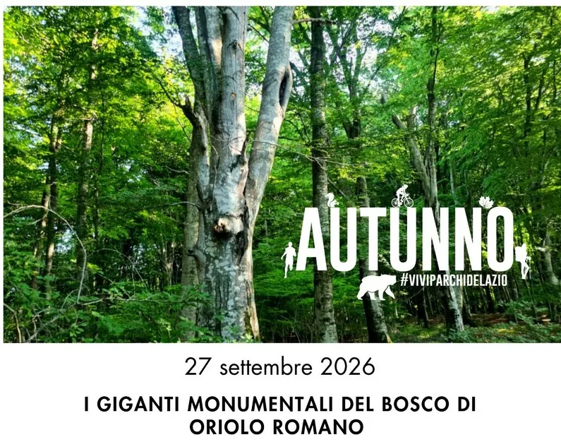 Parco Bracciano-Martignano, un weekend tra natura, archeologia e cultura: due appuntamenti domenica 27 settembre - TRC Giornale