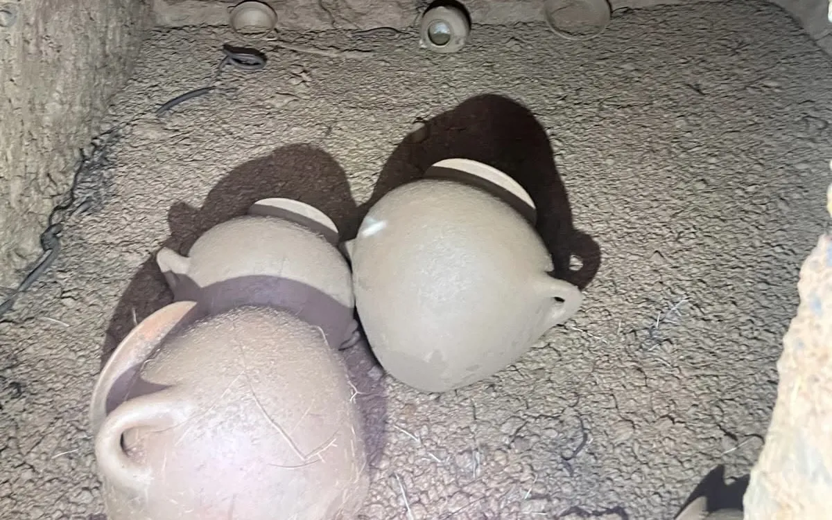 Scoperta eccezionale a Barbarano Romano: aperta una tomba etrusca intatta del VII secolo a.C. (VIDEO)
