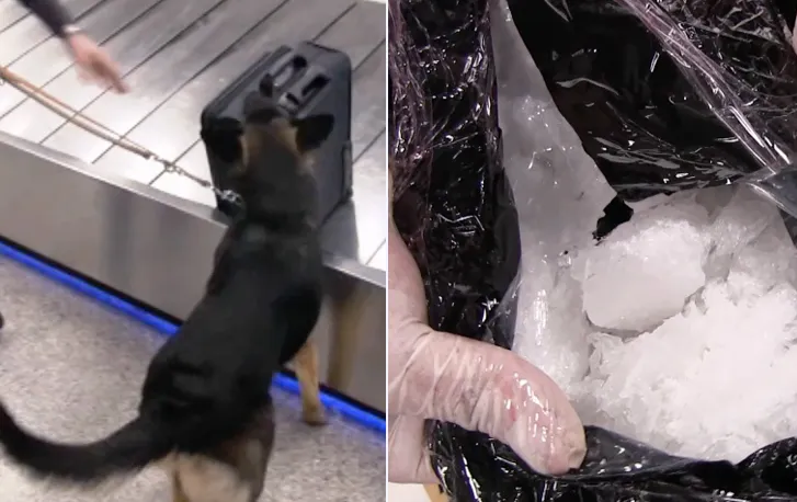 Il narcotraffico dal Messico si ferma al gateway di Roma: intercettata coppia con 8 kg di cocaina e metanfetamine