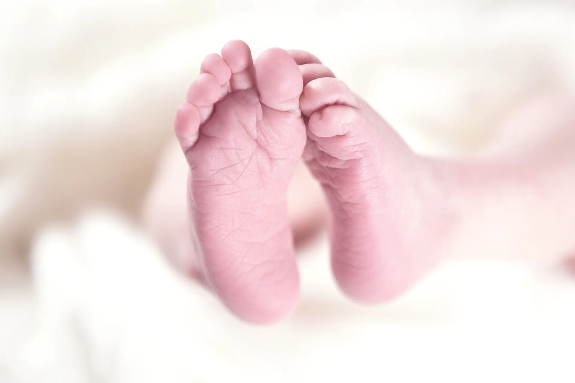 Neonato abbandonato in un sacchetto della spesa: salvato da una passante